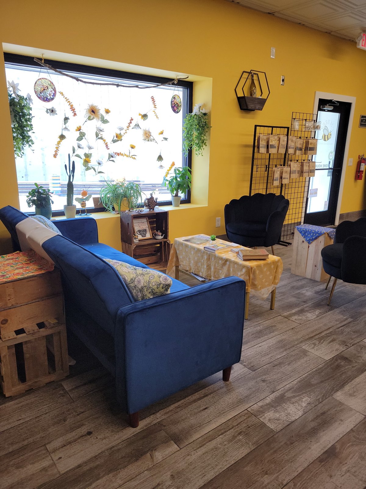 The yellow room: blue sofa, hanging flowers in the window, a place to stay.